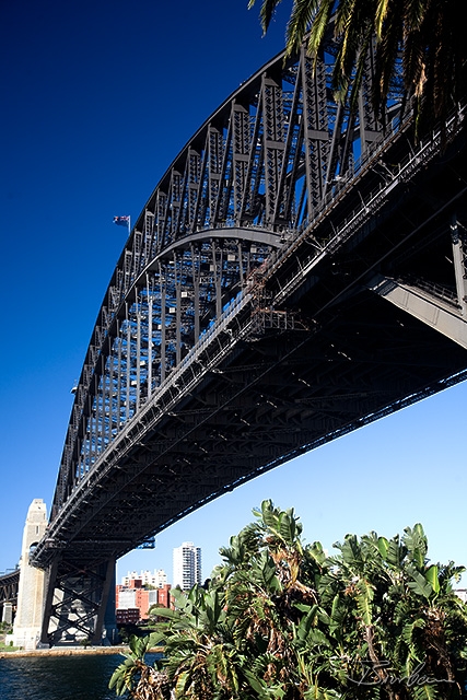 IMG_9555-Edit.jpg - Harbour Bridge in Sydney
