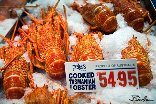 IMG_9863.jpg - Sydney Fish Markets