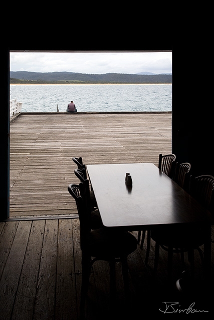 IMG_1178-Edit.jpg - Eucalyptus tree