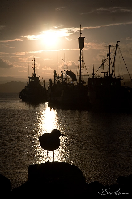 IMG_1359-Edit.jpg - Sunset in Eden