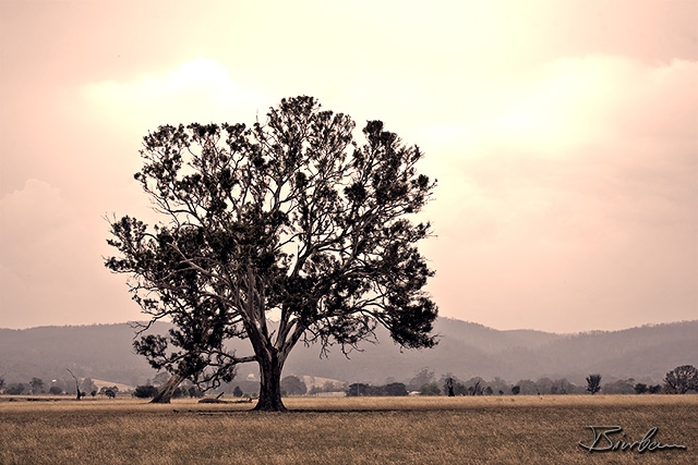 IMG_1565-Edit.jpg - Landscape not far from Melbourne