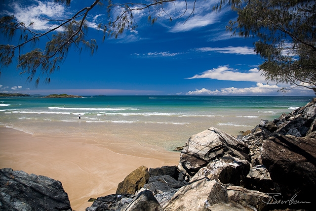 IMG_8520-Edit.jpg - Sharks Bay