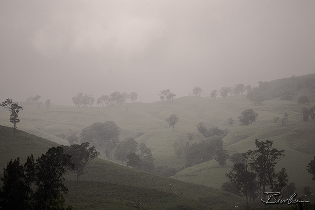 IMG_9090-Edit.jpg - Mist ...